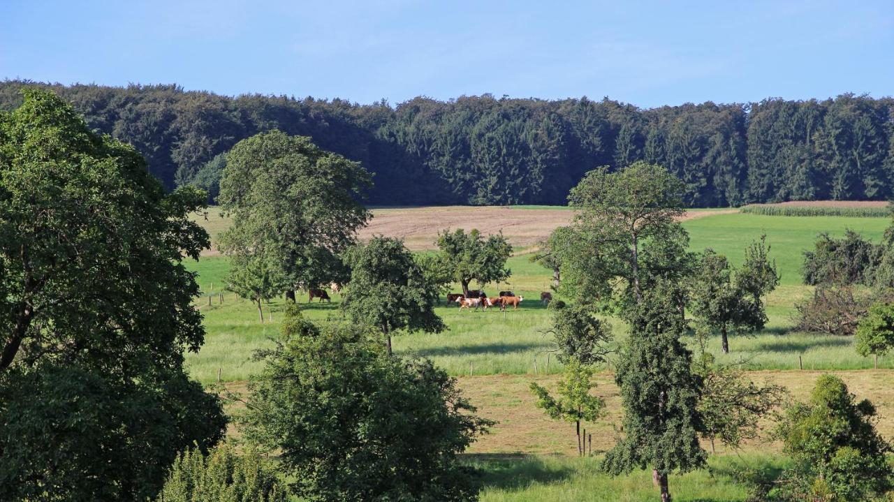 Ferienhof Knoll Lindenfels Eksteriør bilde